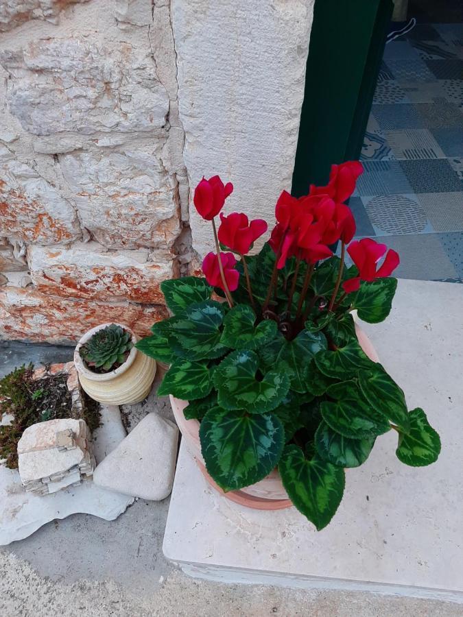 Casa Porta Verde Bale Eksteriør bilde